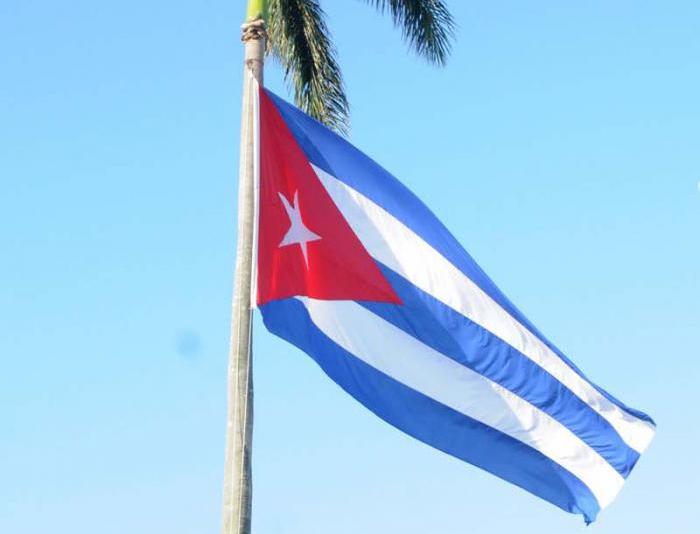 bandera palma portada