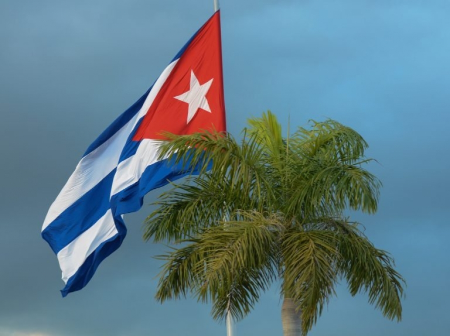 bandera palma real