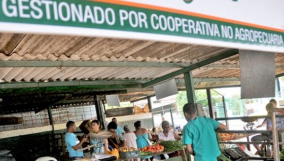 cooperativa-no-agropecuaria1-560x318