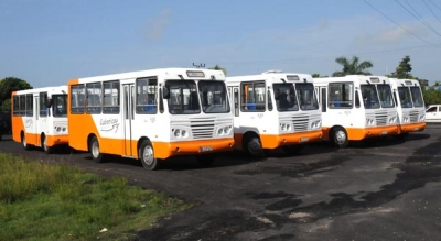 dianas omnibus