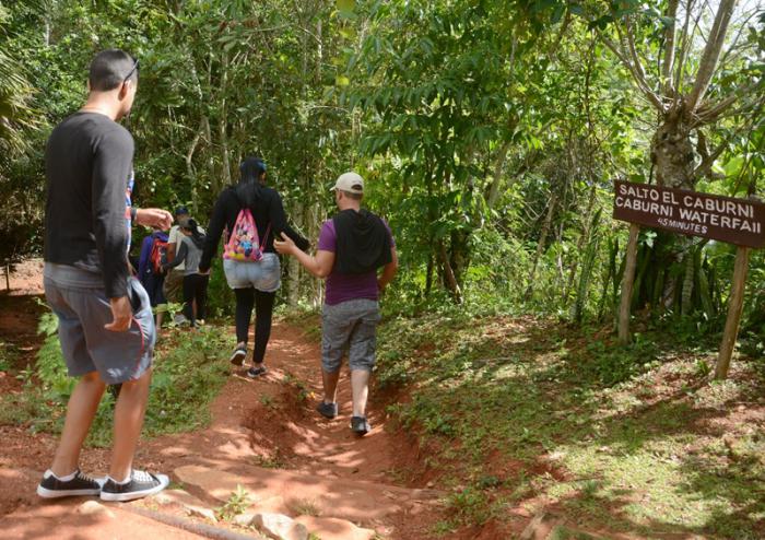 ecosistema terrestre cuba