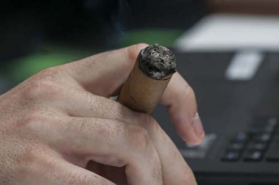 festival habano plantaciones