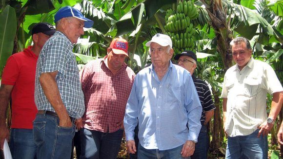 full visita machado ventura 580x326