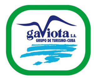 gaviota grupo logo