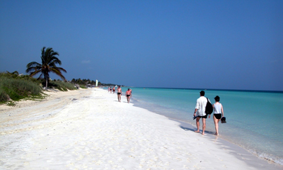jardines-rey