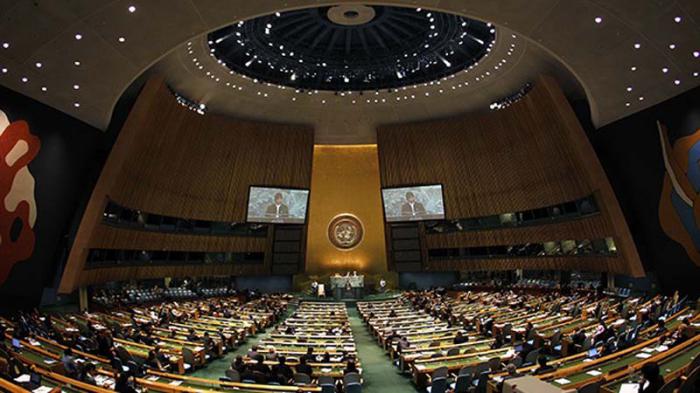 onu plenaria