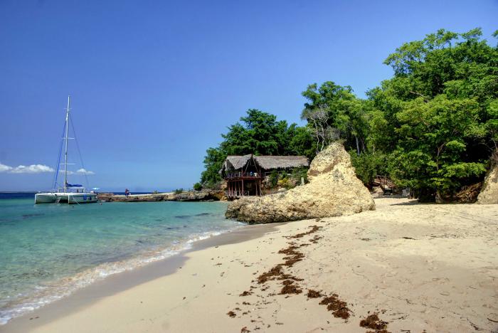 playa tarea vida