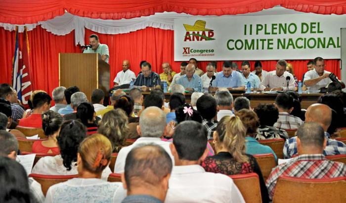 pleno anap agricultura