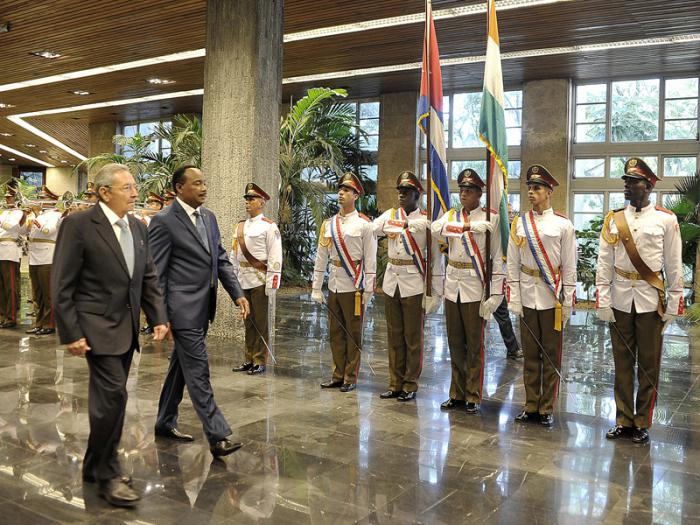 raul presidente niger