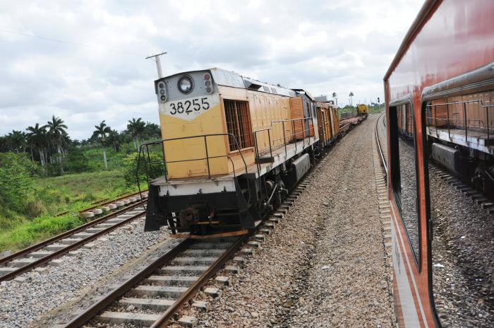 tren transportacion