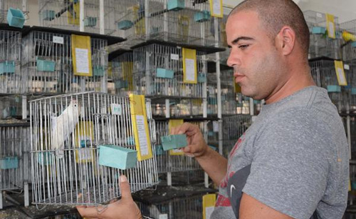 veterinario-cuba