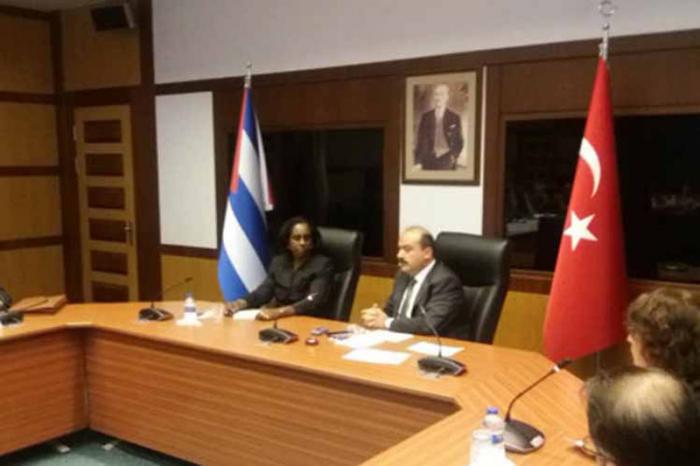 viceministra encuentro turquia
