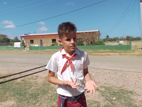 1 Mauro