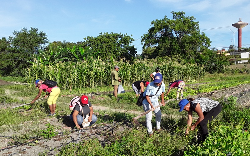 trabajao voluntario julio 2022