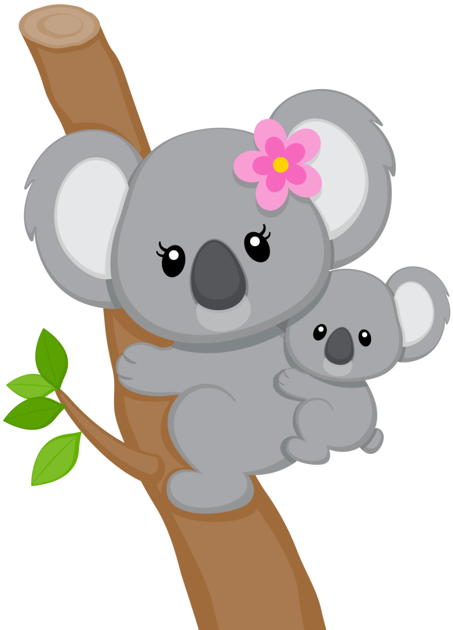 Foto Koala